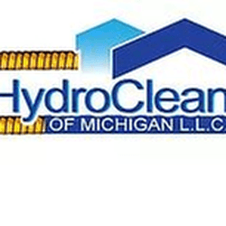 Mold Inspection Professional